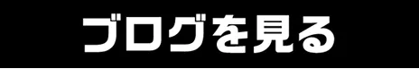 ブログを見る